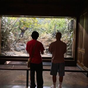 Meet your Posher, Marco